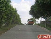 电车公司驾校