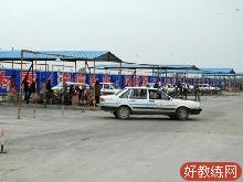 迅达驾校